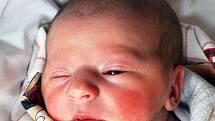 Andrea Pavlíková se narodila Petře Pavlíkové z Duchcova 8. listopadu  v 15.43 hod. v teplické porodnici. Měřila 49 cm a vážila 3,15 kg.