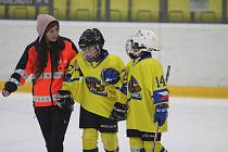 Mezinárodní turnaj Huskies Cup pro ročníky 2014