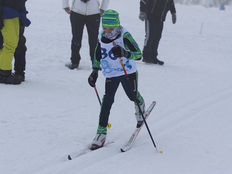 Zimní olympiáda dětí a mládeže na Cínovci