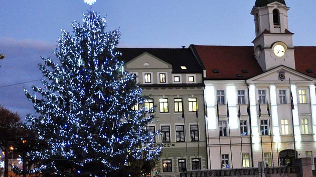 Vánoční strom v Teplicích na náměstí Svobody