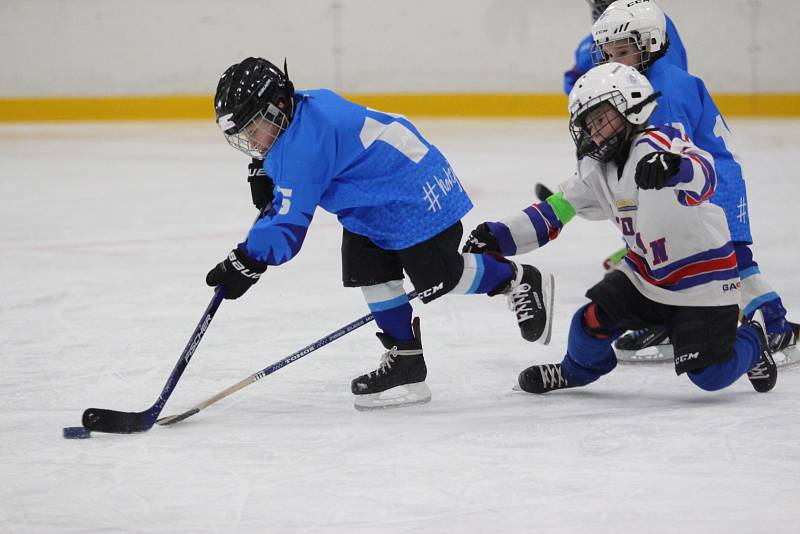 Huskies Cup v Teplicích