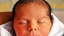 Stela Dudyová se narodila Michaele Dudyové z Bíliny 29. srpna  ve 4.58  hod. v teplické porodnici. Měřila 45 cm a vážila 2,40 kg.