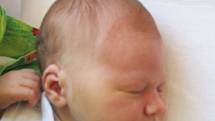 Mamince Andree Schneiderové z Bohosudova se 12. března ve 2.25 hod. v ústecké porodnici narodila dcera Klára Schneiderové. Měřila 52 cm a vážil 3,59 kg.