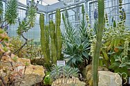 Skalničkový skleník v Botanické zahradě představuje rostliny nejen z Evropy, ale také z Asie, Jižní Ameriky, Nového Zélandu, Kanárských ostrovů, Madeiry nebo z chilské poušti Atacama.