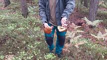 Čtenář David společně s manželkou a fenkou jezevčíka Lailou našel v lesích několik košíků hub.