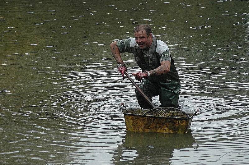 Výlov Dolního rybníka - Zámecká zahrada