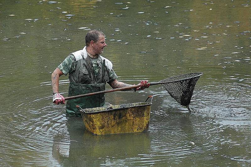 Výlov Dolního rybníka - Zámecká zahrada