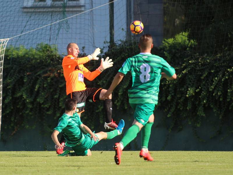 Loko Vltavín - Teplice 2:3