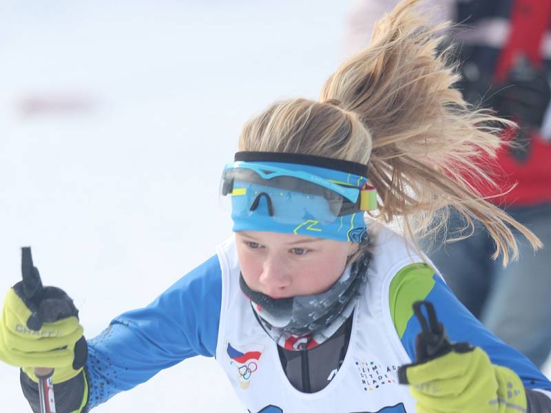 Zimní olympiáda dětí a mládeže na Cínovci