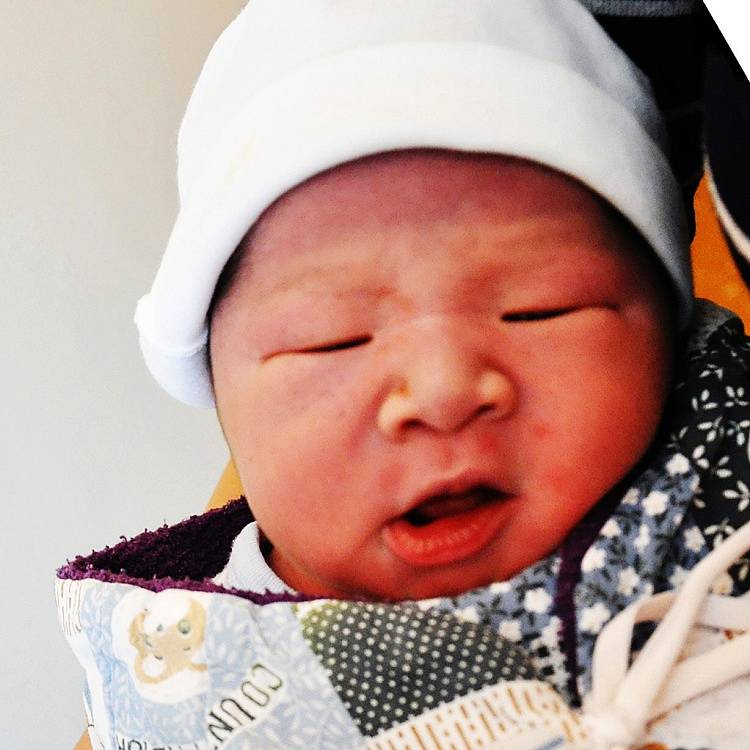NGUYEN HA BAC se narodil Tuhy Nguyenova Thi z Teplic 2. února  v 8.41  hod. v teplické porodnici. Měřil 51 cm a vážil 3,70 kg.