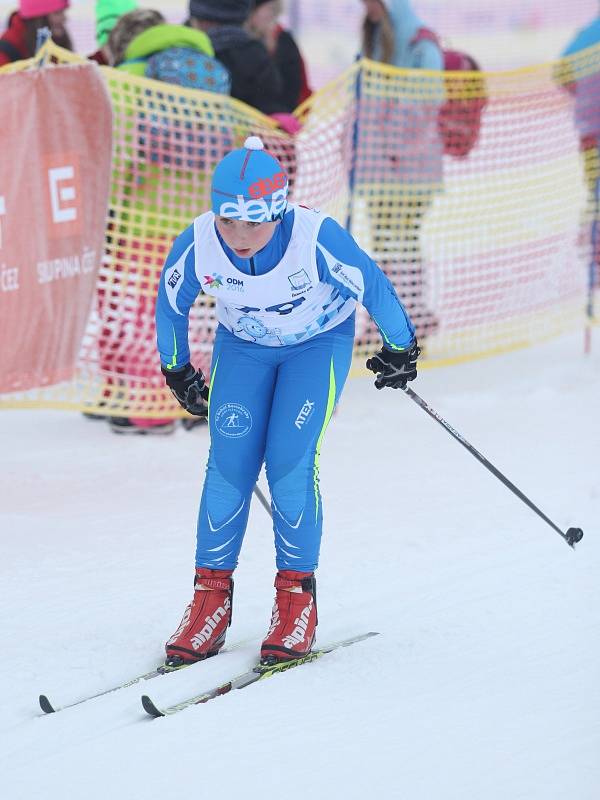 Zimní olympiáda dětí a mládeže na Cínovci