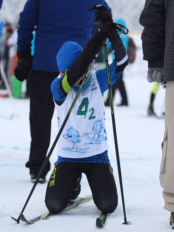 Zimní olympiáda dětí a mládeže - běžecké lyžování