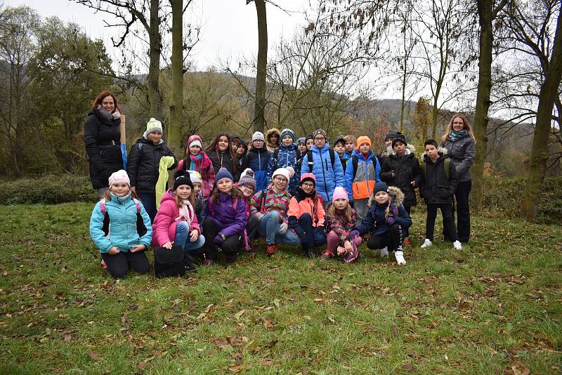 Cejny, plotice a perlíny tam vysadili rybáři, zástupci Unipetrolu, školáci z ústecké ZŠ Karla IV. a klienti stacionáře pro mentálně a tělesně postižené Helias.