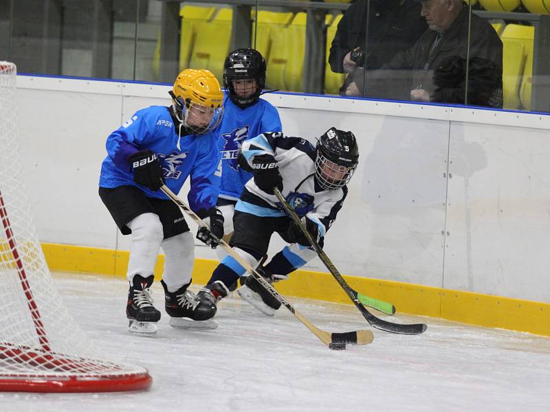 Přátelské utkání přípravek HC Teplice Huskies - Mostečtí Lvi