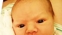 Sofie Štěpánová se narodila Dominice Štěpánové z Teplic 6. března ve 2.13  hod. v teplické porodnici. Měřila 47 cm a vážila 3,10 kg.