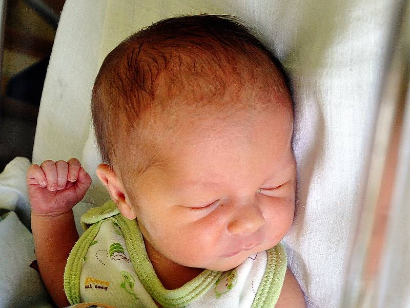 Michal Jonáš se narodil Marcele Wegnerové z Lysce 10. června v 13,49 hodin v teplické porodnici. Měřil 46 cm, vážil 2,80 kg