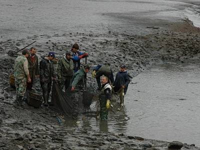 Při výlovu mstišovského rybníku našli rybáři trezor.