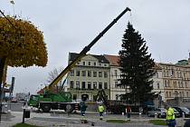 Instalace vánočního stromu na náměstí Svobody v Teplicích.
