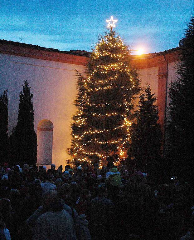 Vánoční strom v Oseku