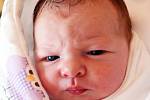 Mamince Andree Kozlerové z Teplic se 17. března v 0.32 hod. v teplické porodnici narodila dcera Lea Obracaníková. Měřila 51 cm a vážila 3,80 kg.