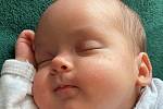 Karla Štěpánková se narodila 10. dubna v 11,39 hodin v ústecké porodnici. Měřila 42 cm, vážila 2,11 kg.