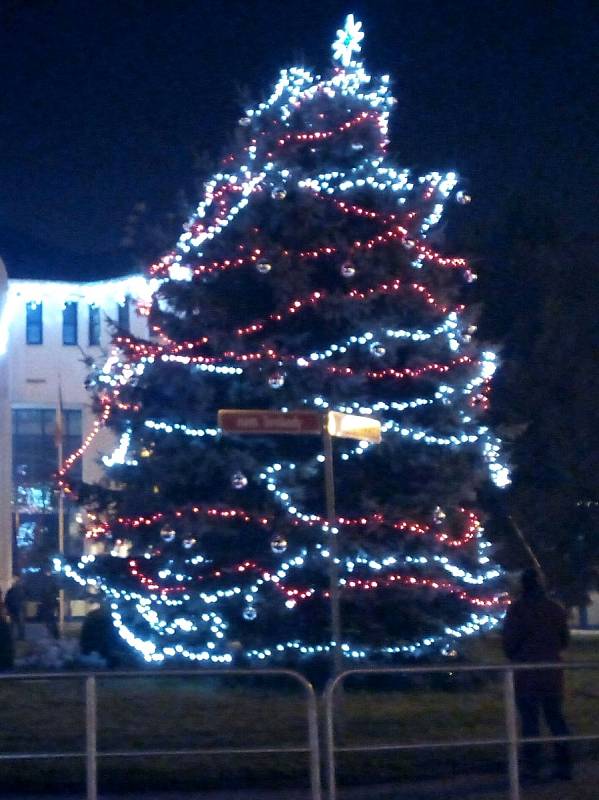 Vánoční strom v Proboštově