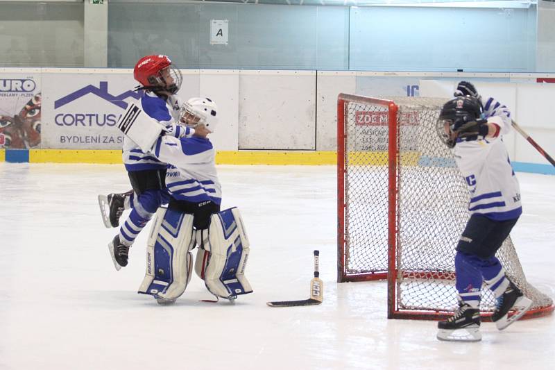 V Plzni se hrál hokejový turnaj Wolves Cup pro ročníky 2013