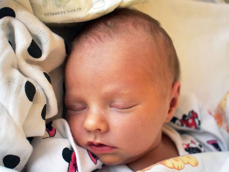 Leontýna Vaňková se narodila Tereze Vaňkové z Oseka 25. ledna v 5,43 hodin v teplické porodnici. Měřila 48 cm, vážila 3,00 kg.