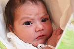 Mamince Brigitě Čonkové z Teplic se 10 . ledna  ve  12.10  hod. v teplické porodnici narodila dcera Adéla Čonková . Měřila  46 cm a vážila 2,85 kg.