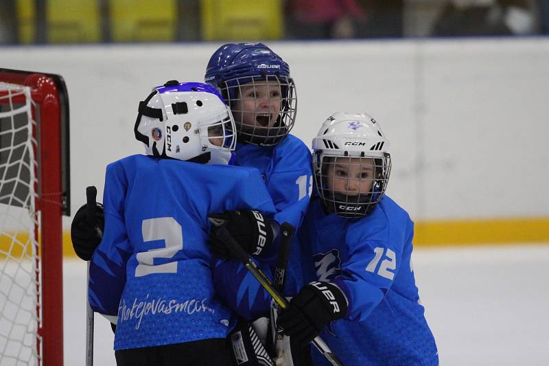 Huskies Cup v Teplicích