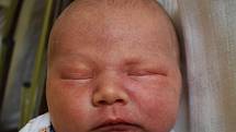 Tobiáš Herget se narodil Veronice Hergetové  z Teplic 21. června 2022  v 0,01 hodin v teplické porodnici. Měřil 51 cm,  vážil 3,85 kg.