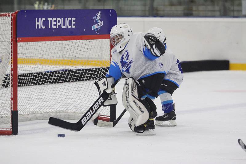 Huskies Cup v Teplicích