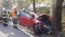 Nehoda, při které u Lískové nabouralo auto do stromu