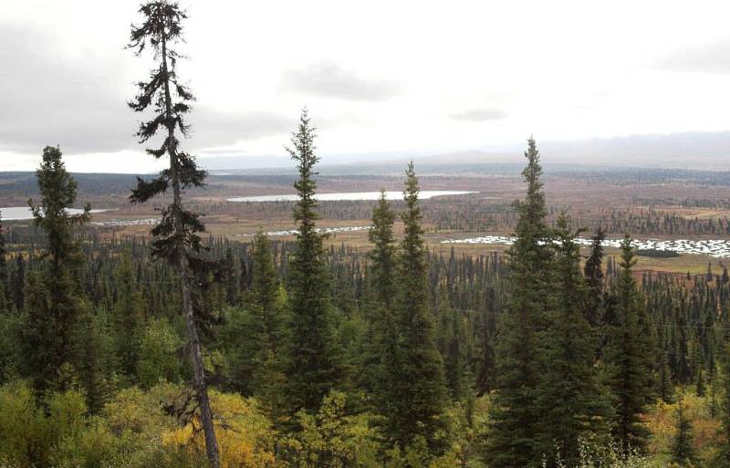 Aljaška a Yukon na fotografiích Josefa Steinbacha.