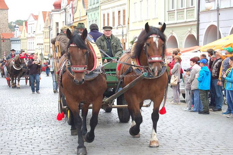 Svatováclavská jízda v Domažlicích.