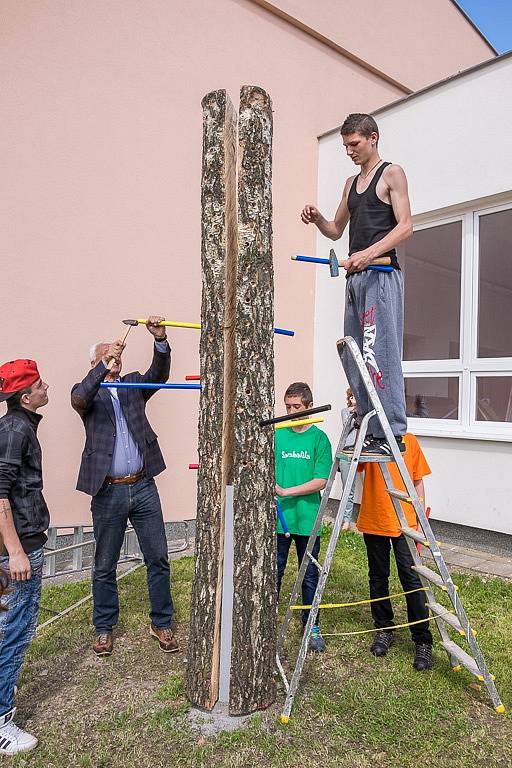 Strom přání v ZŠ Praktické v Domažlicích.