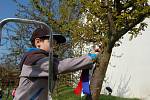 Školáci z Domažlic a Furthu im Wald ve středu v poledne ozdobili stromy v zahradě Chodského hradu pestrobarevnými pentlemi.