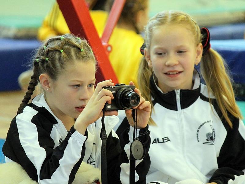 Cena Chodska ve sportovní gymnastice v Domažlicích. 