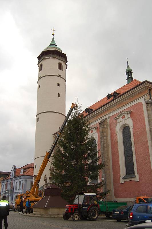 V Domažlicích už stojí vánoční strom