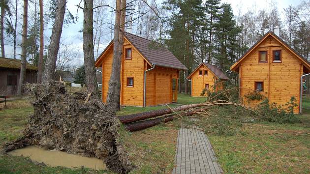 Mohutná borovice poškodila chatku na Šnajberku