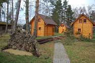 Mohutná borovice poškodila chatku na Šnajberku