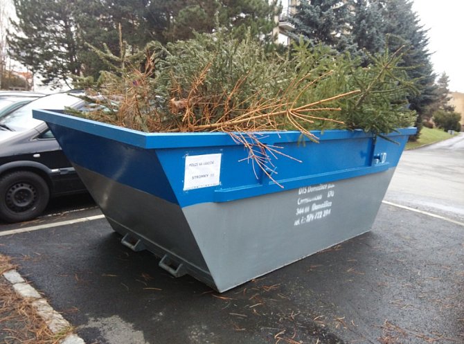 Kontejnery na vánoční stromky budou v Domažlicích k dispozici 14 dní.