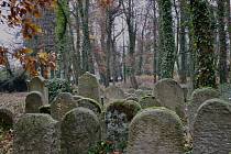 Židovský hřbitov a zámecký park v Poběžovicích.