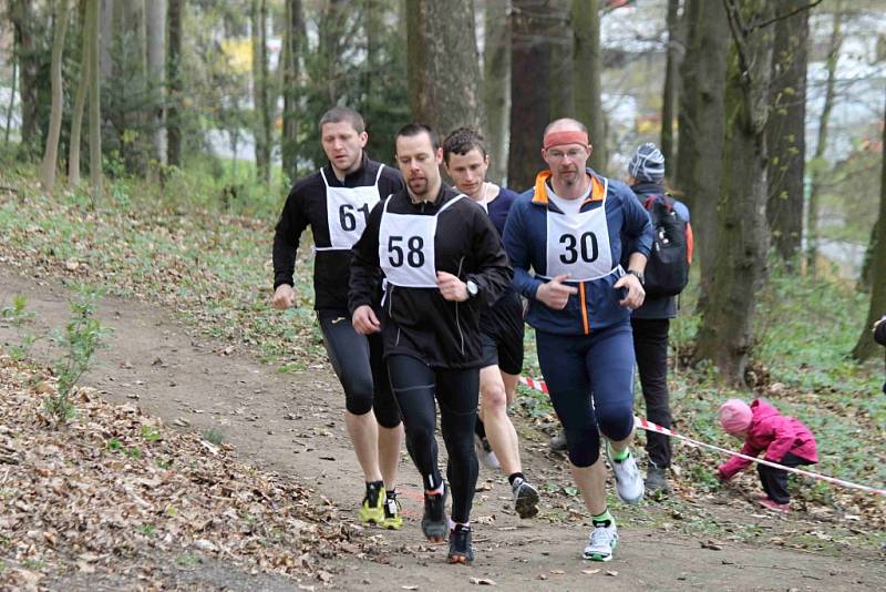 Závod Běh Škarmanem 2015 v Domažlicích.