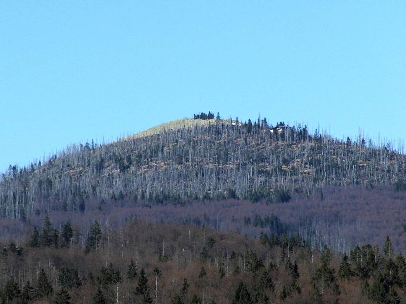 Stezka nad stromy (Baumwipfelpfad) 