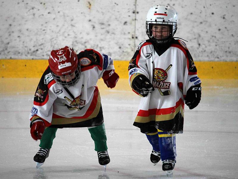 HC Domažlice pořádal za účasti extraligového hokejisty Plzně Jakuba Lva Den náborů.