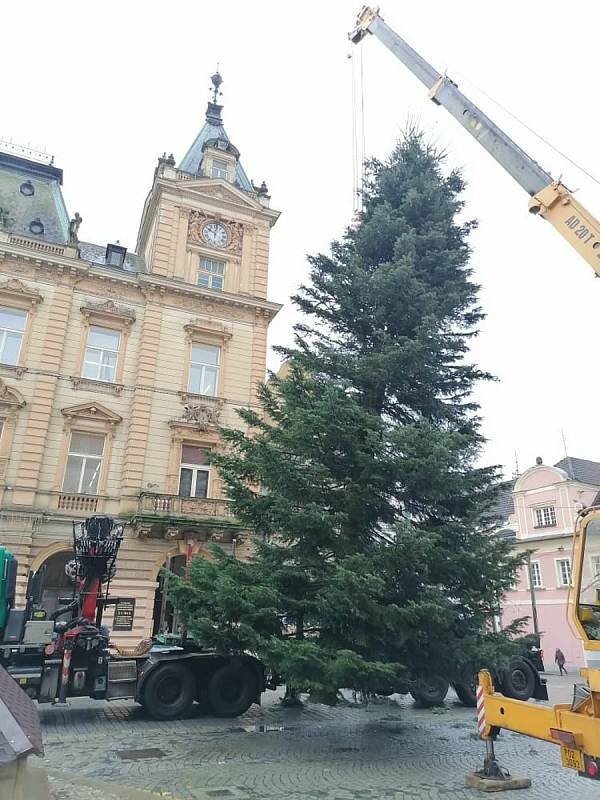 Na domažlickém náměstí už stojí vánoční strom, přijel z Postřekova.