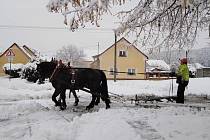 Úklid sněhu koňmi taženým pluhem ve Štichově, foceno při sněhové nadílce leden/únor 2019.