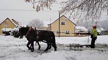 Úklid sněhu koňmi taženým pluhem ve Štichově, foceno při sněhové nadílce leden/únor 2019.