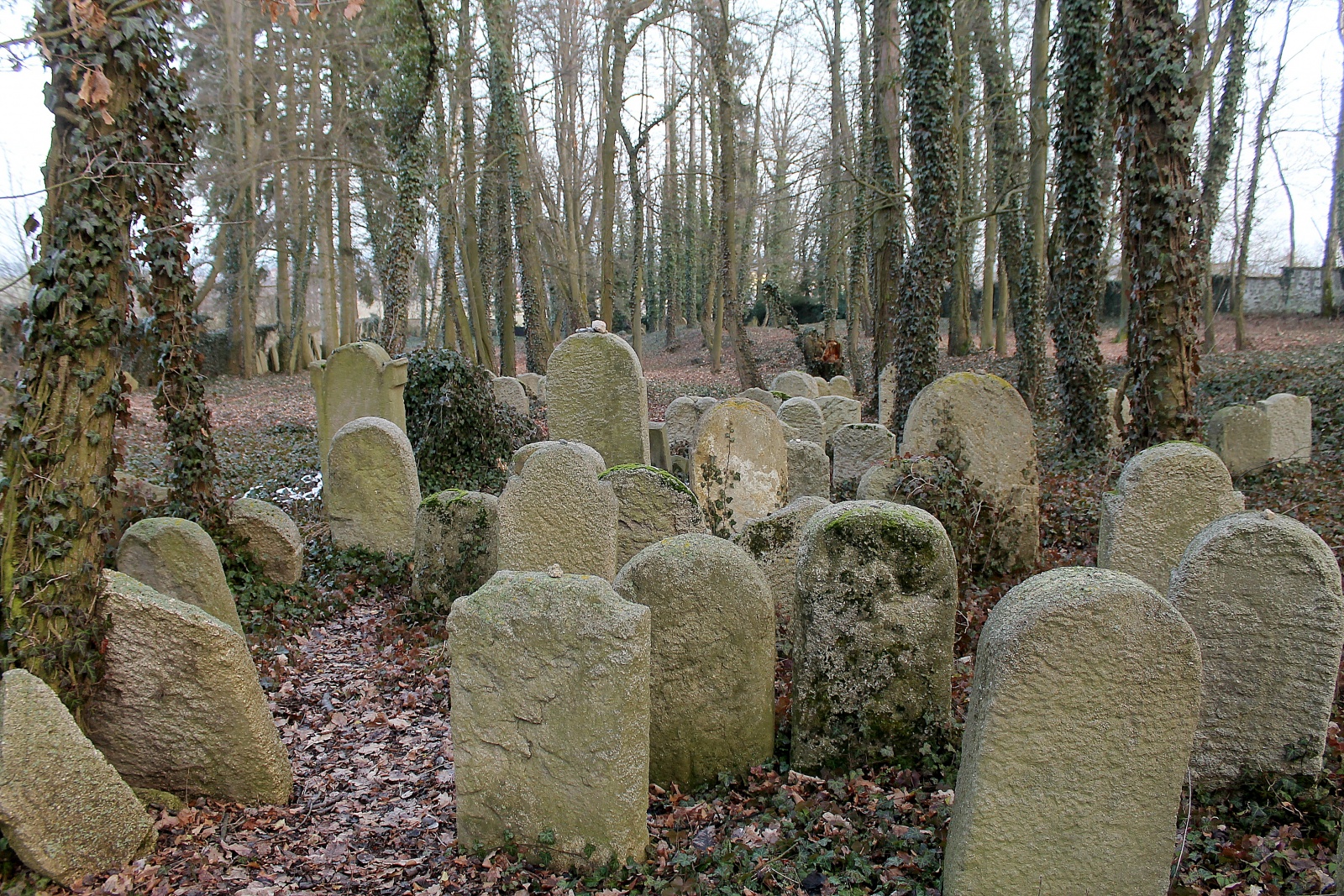 Tip na hezkou vycházku na Poběžovicku aneb Není hřbitov jako hřbitov -  Domažlický deník